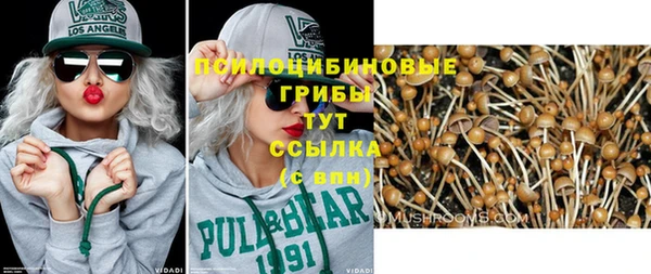 спиды Балахна