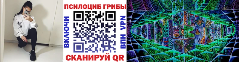 shop клад  Ессентуки  Галлюциногенные грибы ЛСД 